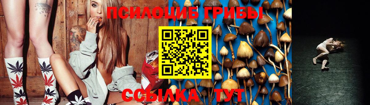 Галлюциногенные грибы GOLDEN TEACHER Чистополь